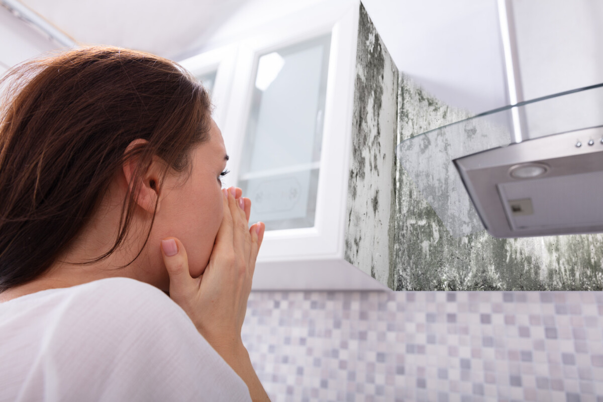 How Much Mold Is Too Much to Buy a Home? A Guide to Mold and Home Buying Decisions